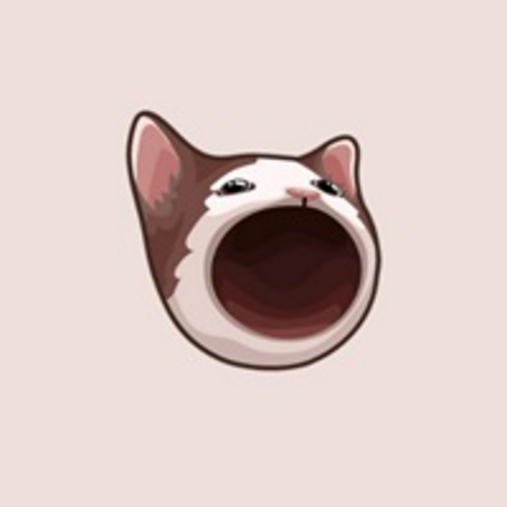 101.587 POPCAT